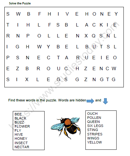 cbse-class-3-evs-web-of-life-worksheet